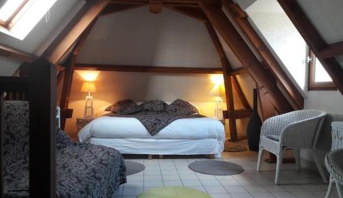Superior Queen Room