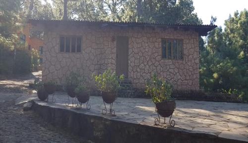 Cottage (18 Adults)