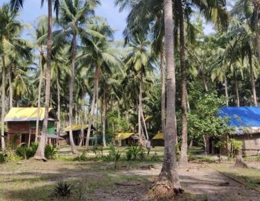 Double Room with Shared Toilet