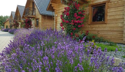 Two-Bedroom Chalet