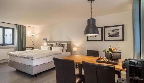 Superior One-Bedroom Apartment