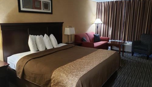 Single King Smoking Guestroom