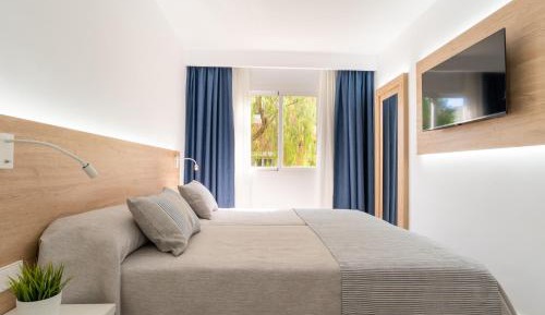 Premium Apartment
