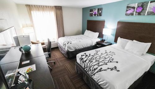 Executive Double Room with Two Double Beds - Non-Smoking