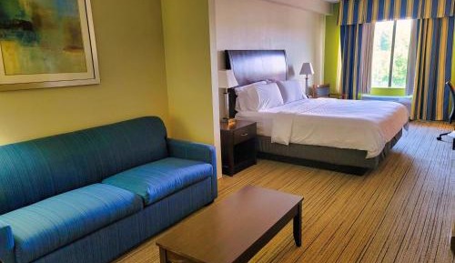 Executive Suite with Sofa Bed
