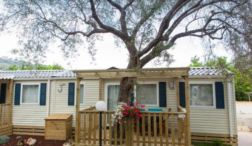 Mobile Home