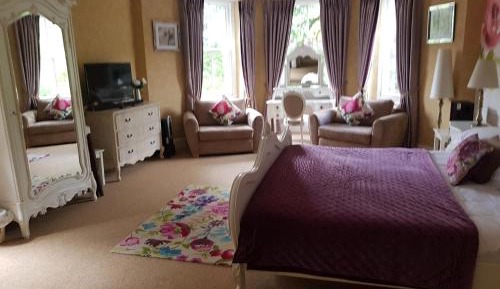 Deluxe Suite (Not Pet-Friendly)