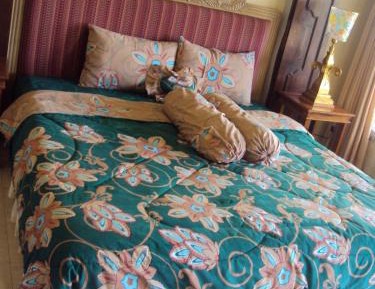 Superior Double or Twin Room