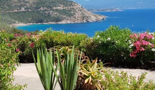 Studio Apartment with Sea View