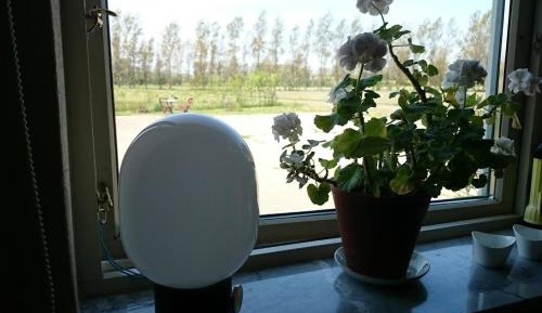 Twin Room with Private External Bathroom