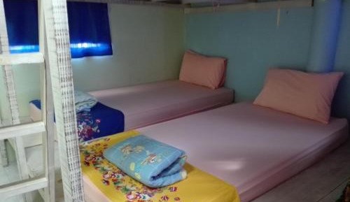 Bunk Bed in Mixed Dormitory Room