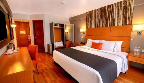  Superior King Room with One King Size Bed
