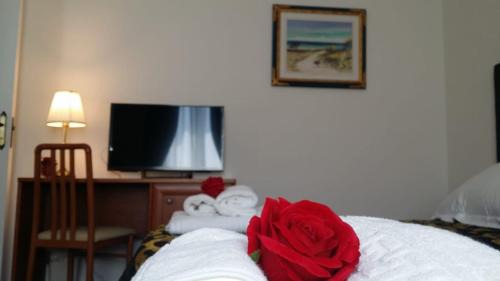 Double or Twin Room with Shared Bathroom