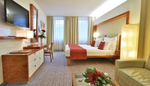Superior Double Room with Wellness Access