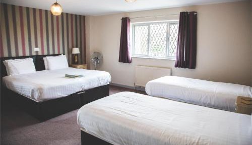 Deluxe Family Room
