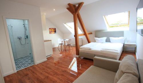 Standard Apartment (without Sauna) 