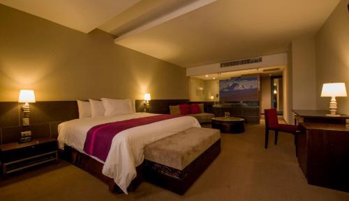 Premium Suite