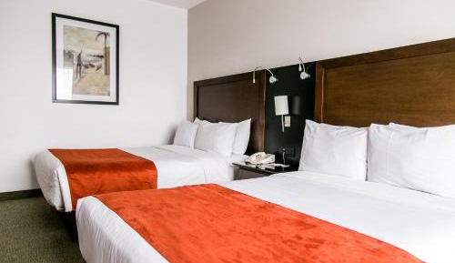 Double Room with Two Double Beds