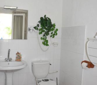 Studio with Garden View
