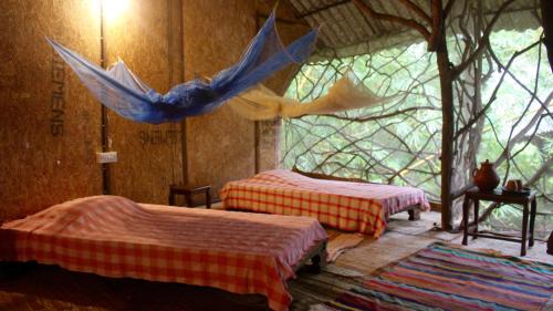 Single Bed in Female Dormitory Room