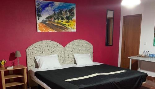 Large Double or Twin Room