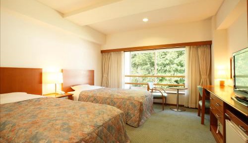 Twin Room - Non-Smoking