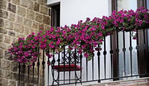 Double Room with Terrace