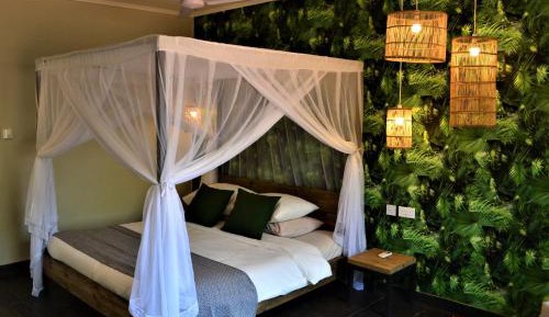Double Guest Room