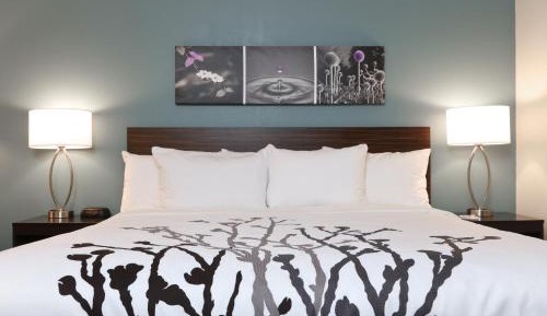 Superior King Room - Non-Smoking