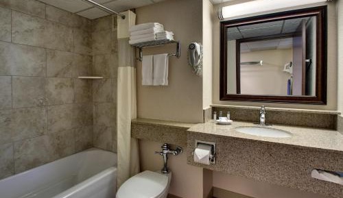 Executive King Suite