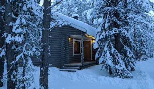 Two-Bedroom Cottage with Sauna