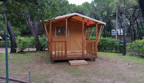 Tent