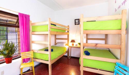 Bed in 6-Bed Dormitory Room