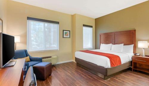 Accessible Room, 1 King Bed, Roll-In Shower, Non Smoking