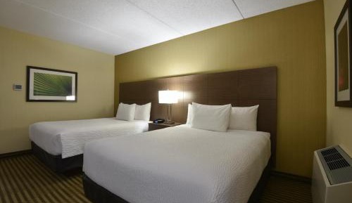 Premier Room, 2 Queen Beds