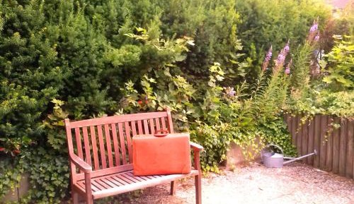 Single Room with Terrace