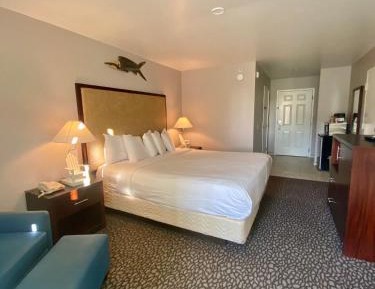 King Room - Disability Access/Non-Smoking