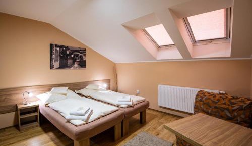 Double or Twin Room with Private Bathroom