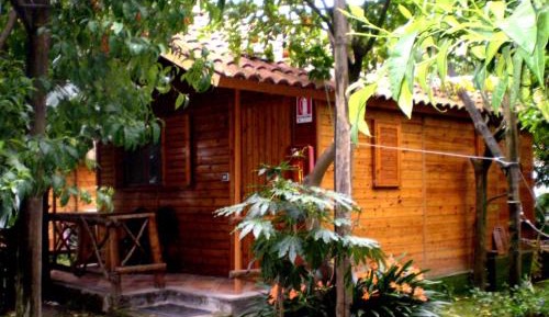Bungalow (2 Adults)