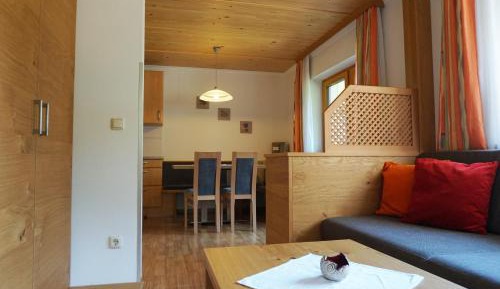 Large One-Bedroom Apartment