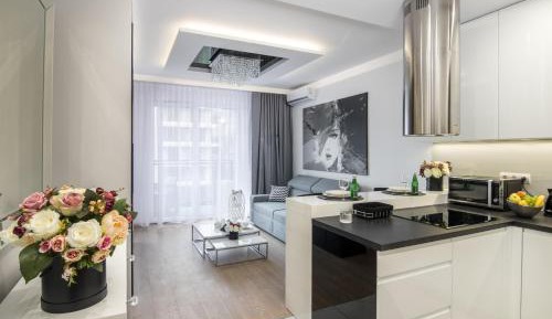Deluxe One-Bedroom Apartment