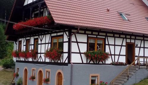 Duplex Apartment