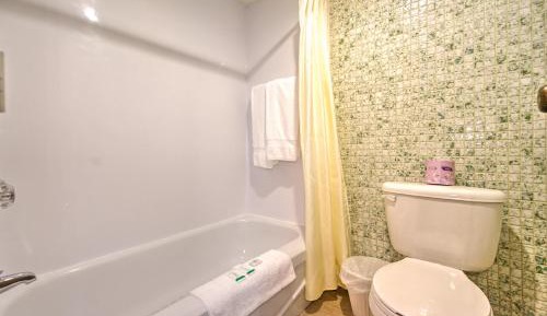 Standard Double Room with Two Double Beds