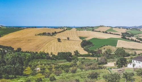 Double Room with Spa Bath