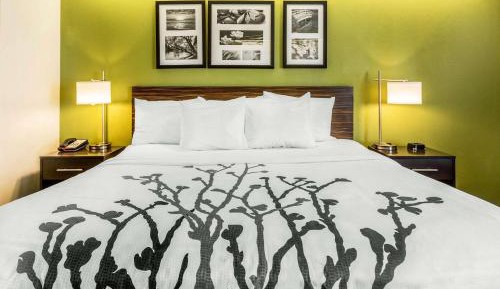 Standard King Room