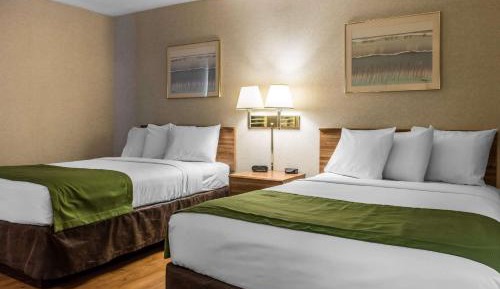 Standard Double Room with Two Double Beds - Non-Smoking