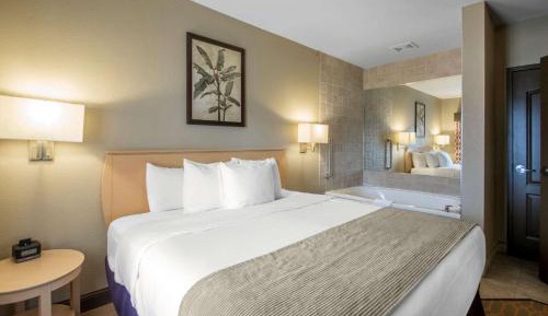 One-Bedroom Suite