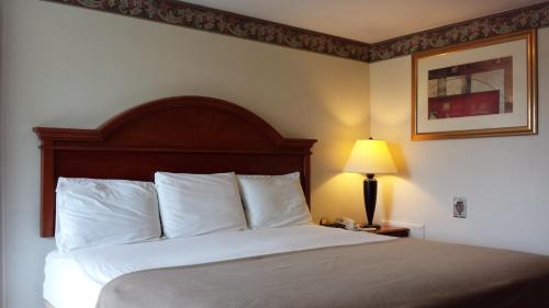 King Room - Non-Smoking