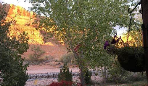 Double Room with Shared Toilet