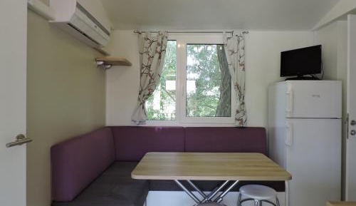 Mobile Home